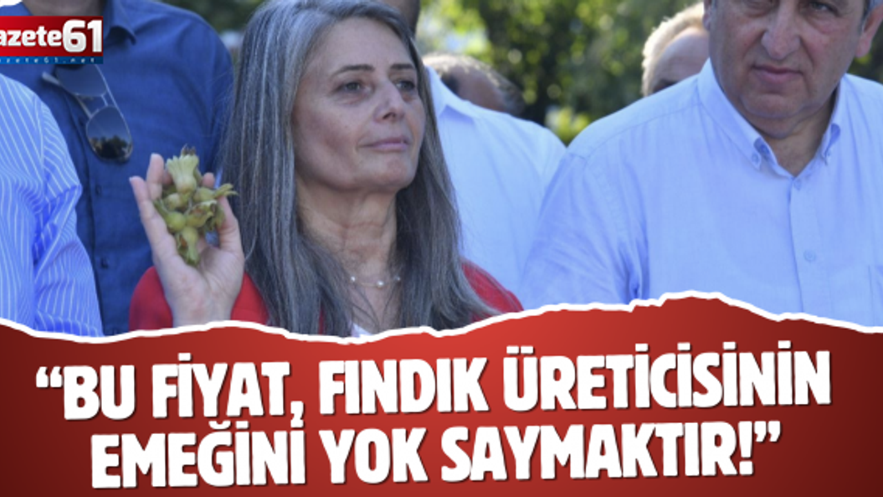 CHP TRABZON MİLLETVEKİLİ SUİÇMEZ; “BU FİYAT, FINDIK ÜRETİCİSİNİN EMEĞİNİ YOK SAYMAKTIR!”