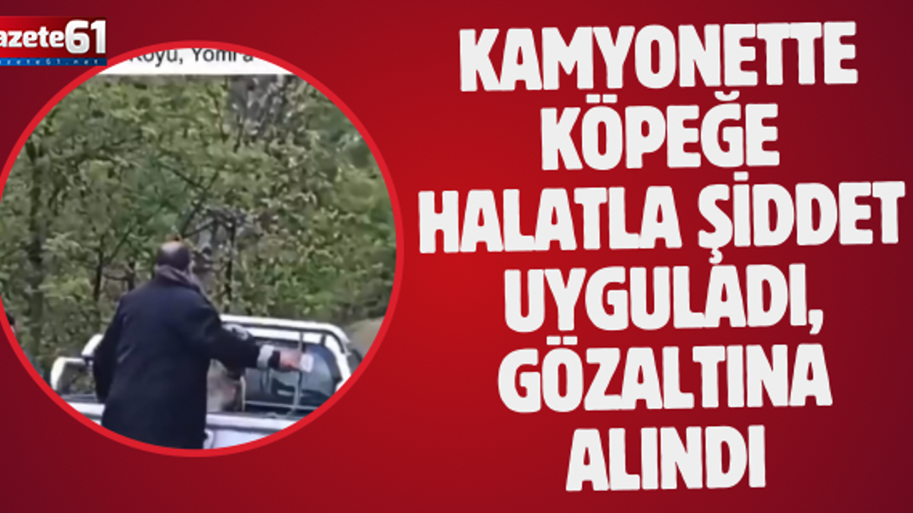 Kamyonette köpeğe halatla şiddet uyguladı, gözaltına alındı