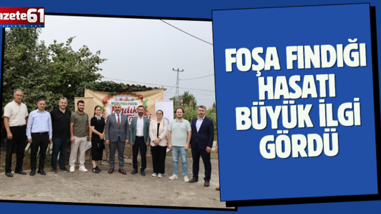 FOŞA FINDIĞI HASATI BÜYÜK İLGİ GÖRDÜ