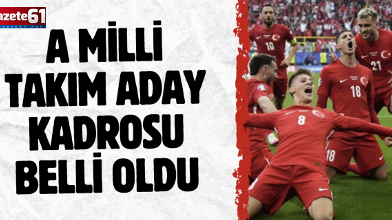 A Milli Takım aday kadrosu belli oldu