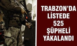 56 İlde Deaş Operasyonu