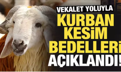 Vekalet yoluyla kurban kesim bedelleri belirlendi