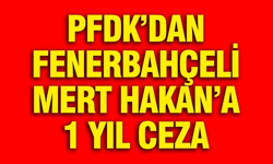 Fenerbahçe kaptanı Mert Hakan Yandaş'a 1 yıl ceza verdi