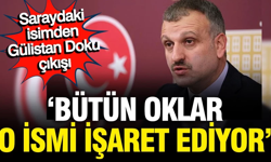 Erdoğan'ın danışmanından Gülistan Doku çıkışı: Bütün oklar Valinin oğlunu işaret ediyor