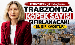 TRAHAYKO’dan çok sert açıklama: “Trabzon’da köpek sayısı sıfırlanacak! Bu bir kaostur”