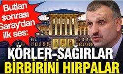 Butlan sonrası Saray'dan ilk ses: Körler-sağırlar birbirini hırpalar