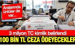 3 milyon TC kimlik belirlendi: 100 bin TL ceza ödeyecekler