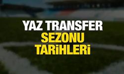 Türkiye'de yaz transfer dönemi ne zaman başlayacak?