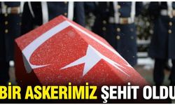 Otomobilin çarptığı jandarma astsubay şehit oldu