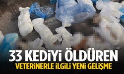 33 KEDİYİ ÖLDÜREN VETERİNER TUTUKLANDI