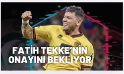 Trabzonspor’dan orta sahaya Gustavo Hamer planı!