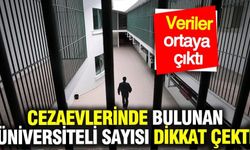Cezaevlerinde 25 binden fazla üniversite mezunu bulunuyor
