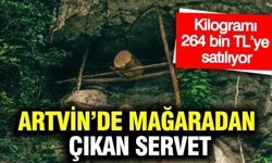 Artvin’de mağaradan çıkan servet: Kilogramı 264 bin TL’ye satılıyor