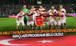 A Milli Takım'ın Dünya Kupası öncesi hazırlık maçları programı belli oldu!