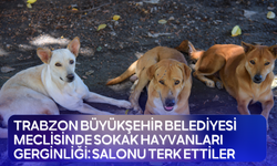 Sokak hayvanları gerginliği: Salonu terk ettiler