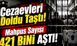 Yılın dolmasına 5 ay kala suç oranlarında patlama var