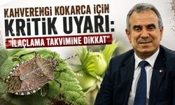 Kahverengi Kokarca İçin Kritik Uyarı: “İlaçlama Takvimine Dikkat”