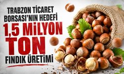 Trabzon Ticaret Borsası’nın Hedefi 1,5 Milyon Ton Fındık Üretimi