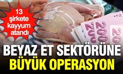Beyaz et sektörüne büyük operasyon: 13 şirkete kayyum atandı