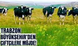 Trabzon’da Büyükşehir’den çiftçilere müjde!