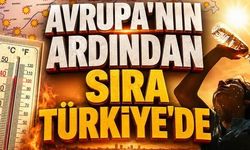 Avrupa'da 1.300 ölü, sıcak hava dalgası Türkiye'ye girdi