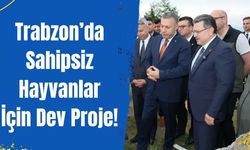 Trabzon’da Sahipsiz Hayvanlar İçin Dev Proje!