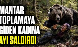 Gümüşhane'de feci olay! Mantar toplayan kadına ayı saldırdı