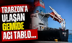 Trabzon'a ulaşan gemide acı tablo…