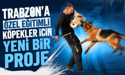 Trabzon’a özel eğitimli köpekler için yeni bir proje