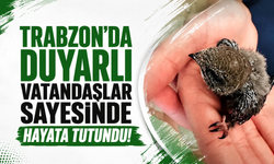 Trabzon'da duyarlı vatandaşlar sayesinde hayata tutundu!