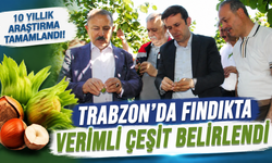 10 Yıllık Araştırmanın Sonuçları Açıklandı: Fındıkta Doğru Çeşit ve Rakım Belirlendi