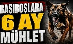 "Görevini yapmayan belediyelere acımak yok"
