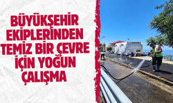BÜYÜKŞEHİR EKİPLERİNDEN TEMİZ BİR ÇEVRE İÇİN YOĞUN ÇALIŞMA