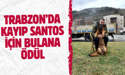 Trabzon’da kayıp Santos için bulana ödül