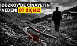 Düzköy’de cinayetin nedeni ot biçme!