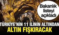 Türkiye'nin 11 ilinin altından altın çıkarılacak: Bakanlık listeyi açıkladı