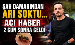 Şah damarından sokan arı felaketi getirdi!