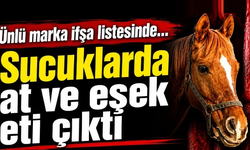 Ünlü markanın sucuklarında at ve eşek eti tespit edildi