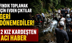 Fındık toplamaya giden kardeşlerden acı haber! Dere kenarında bulundular