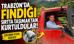Trabzon'da fındığı sırtta taşımaktan kurtuldular!