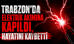 Trabzon'da elektrik akımına kapıldı, hayatını kaybetti