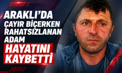 Araklı'da Çayır Biçerken Rahatsızlanan Adam Hayatını Kaybetti