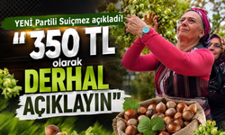 YENİ Partili Suiçmez açıkladı! "350 TL olarak derhal açıklayın"