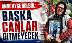 Anne Ayşe Bülbül: Başka canlar gitmeyecek