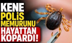 Kene polis memurunu hayattan kopardı