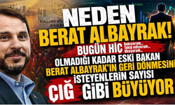 NEDEN BERAT ALBAYRAK!..