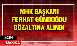 Ferhat Gündoğdu gözaltına alındı!