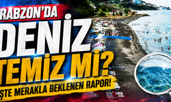Trabzon'un plajları temiz çıktı