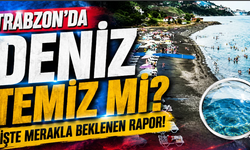 Trabzon'un plajları temiz çıktı