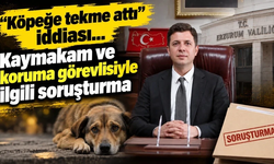 'Köpeğe tekme attı' iddiası... Kaymakam ve koruma görevlisiyle ilgili soruşturma